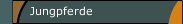 Jungpferde